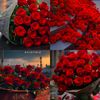 user1493040911561