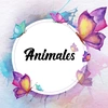 mundoanimal_08