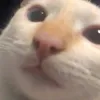 jowoejdo