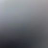 userut8675309