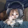 furiosvoid