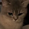 s0updude._