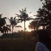 mayachintia17