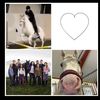 equestrian_jente09
