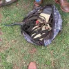 sadan.334