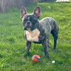 maylo25.01.23