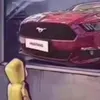 emerix666