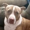kevdog29293
