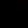 sandy.sameh1