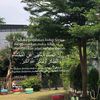 boycry7554_