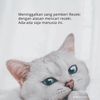 iinalfahira1