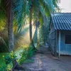 minh.nh.l55