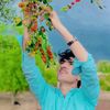  XS乛WAJID」