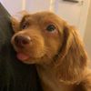 dawthanthanaye006