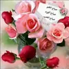 chouchou4434
