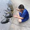 bomrunggmail.com