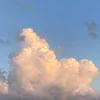 .chai_5090