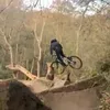 oscartom67