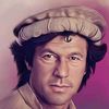 tdr_saud