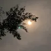 lida47_95
