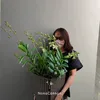 upik_si