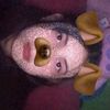 camila235469