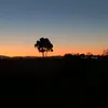 pacogarciacosta0
