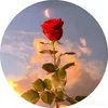rusul____313