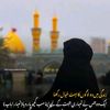 syedafatima2723