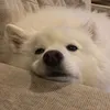oqz4_zzz