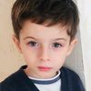nemat_016_
