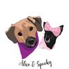 aliceandspooky