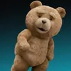 Mi OSITO 🐻