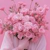 manal111112222