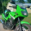 thegreenninja500