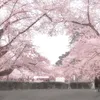 yaallah_780