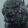 minusgojira