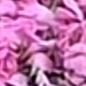 mou__76