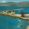 molahid
