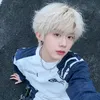 yne_nii_1209