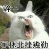 sjsjsncjckkmmwkxkfkkk