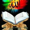 zm7__5p