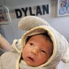 dapdailyreport