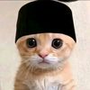 fiqrikmdbph