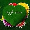 user5665791102931