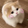 nothing__gg