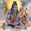 omnamahshiva33