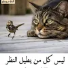 user9111500283836