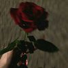 itx_syeda514