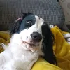 alexiakidnapedme